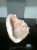 Scoica decorativa