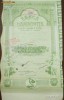 Actiune " BANCA DAMBOVITEI" 2500 LEI -An-1923