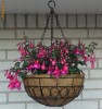 Suport (ghiveci) pentru flori supendat - din metal -