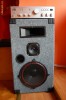 Boxe 100 W nominali + Statie Amplificare
