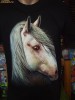 TRICOURI (TRICOU) diverse imprimeuri CAL