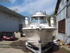 barca Bayliner Trophy 2152 WA