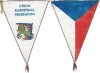 Fanion (127) - BASCKETT - Federatia CEHA ( fanion mare matase)