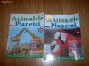 animalele planetei