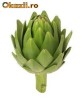 seminte anghinare, cardon, cynara, artichoke