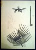 AUREL ACASANDREI ,  CREION , ,,SPATIUL GEOMETRIC AL GANDIRII UMANE,, DESEN PE HARTIE CARTONATA ,INEDIT,