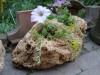 Jardiniera piatra -  tuf calcaros