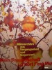 Disc Vinil - Mein Freundschaft ....(Clasica )