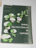 N MATEESCU - GHIDUL CULTIVATORULUI DE CIUPERCI