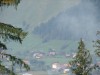 teren de vanzare langa padure in Vama, Bucovina,Suceava teren de vanzare langa padure in Vama, Bucovina,Suceava