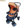 Carucior maner reversibil - PRIMII PASI