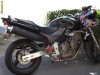 HONDA HORNET 600