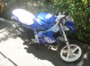 gilera dna