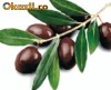 masline vrac kalamata