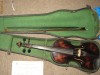 vioara Petrus 1695, evaluata in 1993 la Promuzica oferta URGENT!