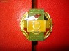 insigna festivalul national cantarea romaniei