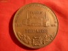 Placheta IPL -Targu Mures -25 Ani -MOBEX 1974