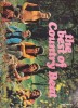DISC LP VINYL :THE BEST OF COUNTRY BEAT