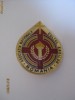 INSIGNA DE COLECTIE ASOCIATIA NATIONALA CULTUL EROILOR INSIGNA DE COLECTIE ASOCIATIA NATIONALA CULTUL EROILOR
