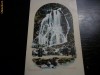 Germania Reich , Carte Postala din 1916