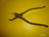 stomatologie cleste pentru extractie molari