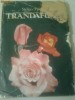 TRANDAFIRUL  ~ STELIAN POPESCU