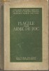 S.S.Ghirgolav / PLAGILE PRIN ARME DE FOC - experienta medicinei sovietice din cel de-al doilea razboi mondial