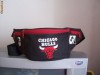 BORSETA , CHICAGO BULLS .