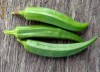 Seminte Bame Okra