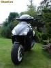 Benelli 491 GT Vand/Schimb