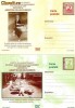 lot carti postale 21