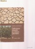 SALINITATEA SOIURILOR SI CULTURA PLANTELOR