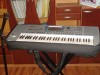 Korg PA50 aranjata pentru orice cantare (ritmuri: sarbe, hore, populare, manele, turkish, dansul pinguinului etc) + STATIV ORGA + STATIV REGLABIL MICR