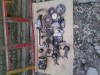 MOTOR DE RENAULT CLIO 1.5 DCI EURO 4