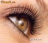 Aplic gene false individuale, fir cu fir, Constanta, cosmetica, adeviz, lipici, rimel, ruj, tus ochi trusa farduri fond ten machiaj make-up extensii