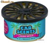 Odorizante auto California Scents - Car Scents Laguna Breeze