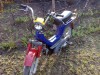 Vand  MOTOR de Piaggio SI modelul  cu VARIATOR