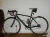 Cursiera carbon  Bottecchia