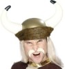 Casca viking