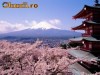 CIRCUIT 2012 JAPONIA