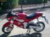 GILERA DNA