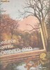 ROMANTA MEA -CONSTANTIN FLORESCU -LP VINIL