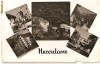CPI (B744) HERCULANE, EDITURA, MERIDIANE, CPCS, CIRCULATA, 1965, STAMPILE, TIMBRU FILATELIC
