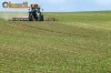 TEREN AGRICOL,40HA,JUD.TIMIS.