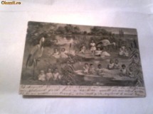 Carte postala - Copii si berze   Circulata 9 sep.1902 foto
