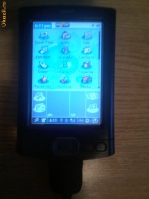 Palm TX foto