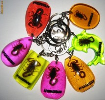 Scorpion real incastrat in breloc, NOU foto