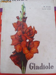 GLADIOLE foto