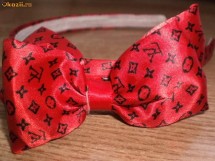 CORDELUTA LOUIS VUITTON foto