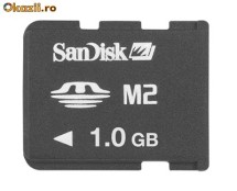 microm2 1gb foto